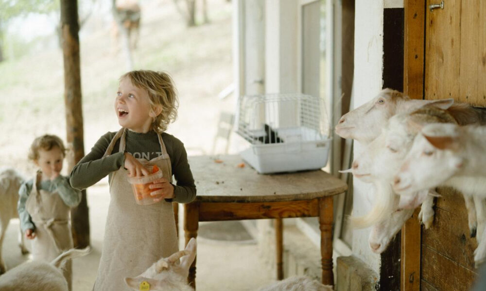 Young girl in an apron feeds goats at a rural farm, with another child in the background.