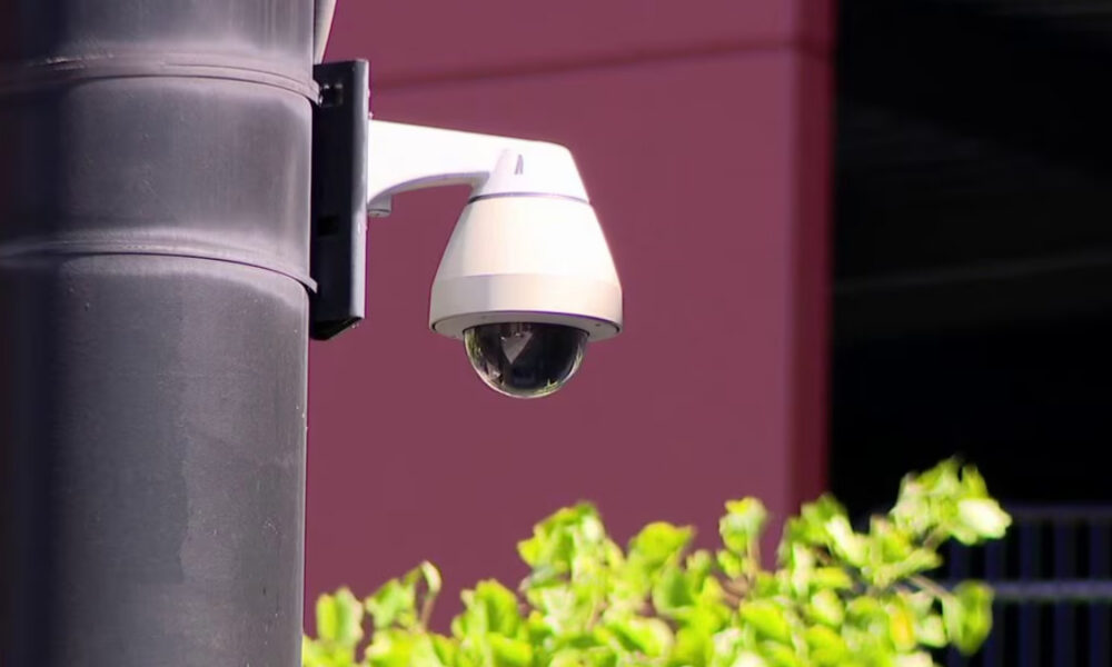 Outdoor security camera (dome) mounted on a black pole with greenery in the foreground and a pink wall in the background, angled downward for surveillance.
