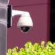 Outdoor security camera (dome) mounted on a black pole with greenery in the foreground and a pink wall in the background, angled downward for surveillance.