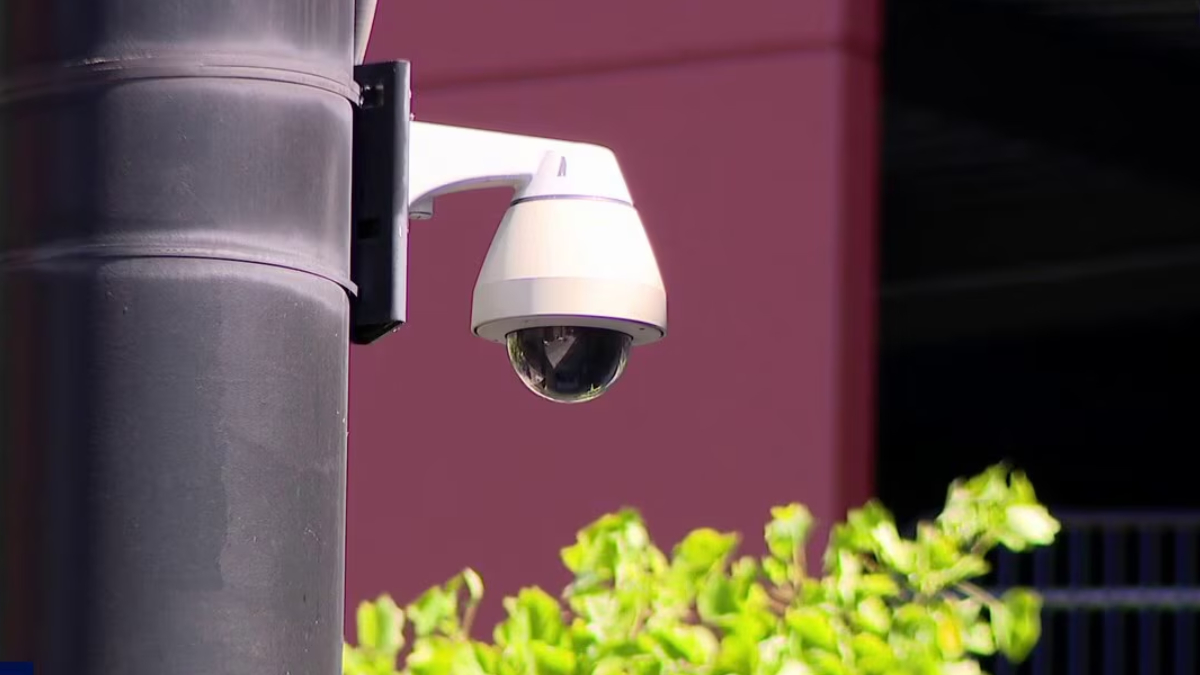 Outdoor security camera (dome) mounted on a black pole with greenery in the foreground and a pink wall in the background, angled downward for surveillance.