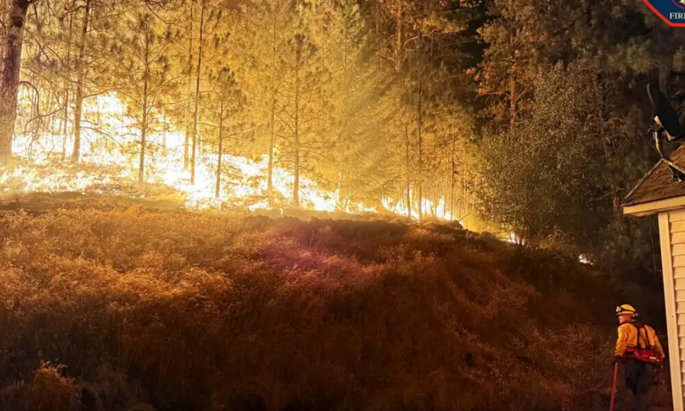 Wildfire rips through a forest as a firefighter in orange gear stands near a house at the edge of the flames.