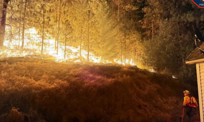 Wildfire rips through a forest as a firefighter in orange gear stands near a house at the edge of the flames.