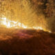 Wildfire rips through a forest as a firefighter in orange gear stands near a house at the edge of the flames.