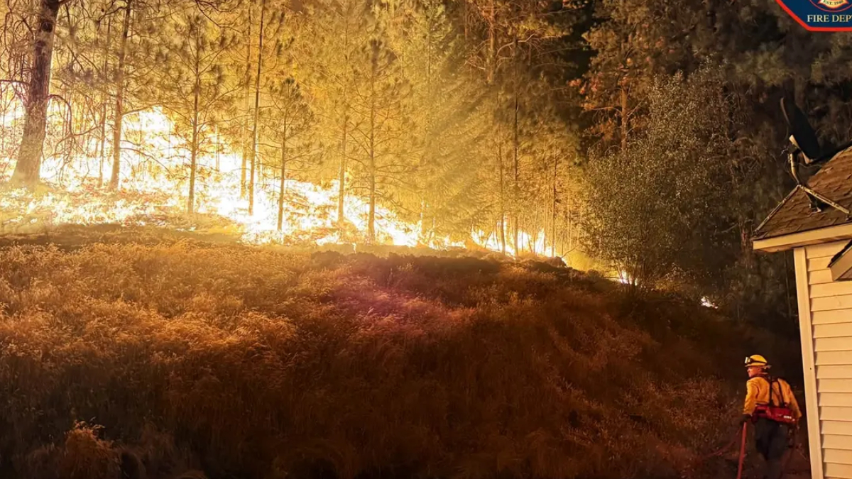 Wildfire rips through a forest as a firefighter in orange gear stands near a house at the edge of the flames.