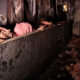 Charred interior with pink insulation on a ledge, burned walls, and debris on the floor near a green tool.
