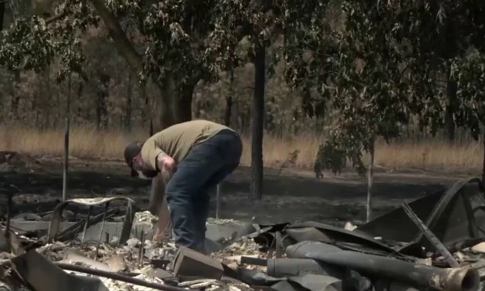 Man in a beige shirt and jeans bends over among charred rubble, inspecting debris after a wildfire in a wooded area.
