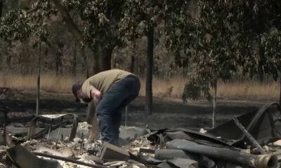 Man in a beige shirt and jeans bends over among charred rubble, inspecting debris after a wildfire in a wooded area.