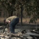 Man in a beige shirt and jeans bends over among charred rubble, inspecting debris after a wildfire in a wooded area.