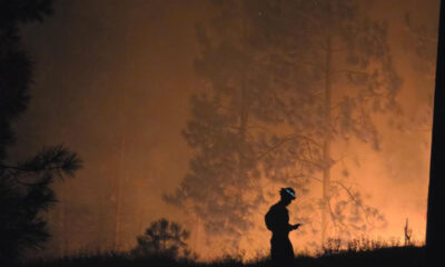 Silhouette of a firefighter wearing a helmet, standing on a small hill and looking toward a raging forest fire with an orange glow behind.