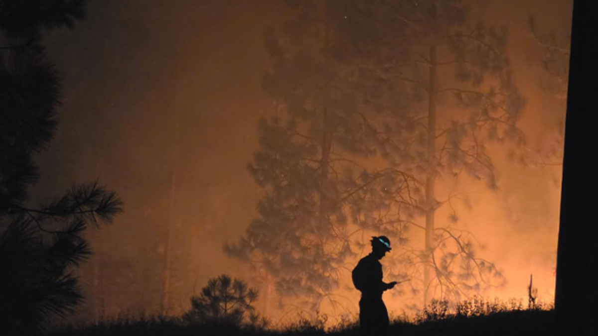 Silhouette of a firefighter wearing a helmet, standing on a small hill and looking toward a raging forest fire with an orange glow behind.