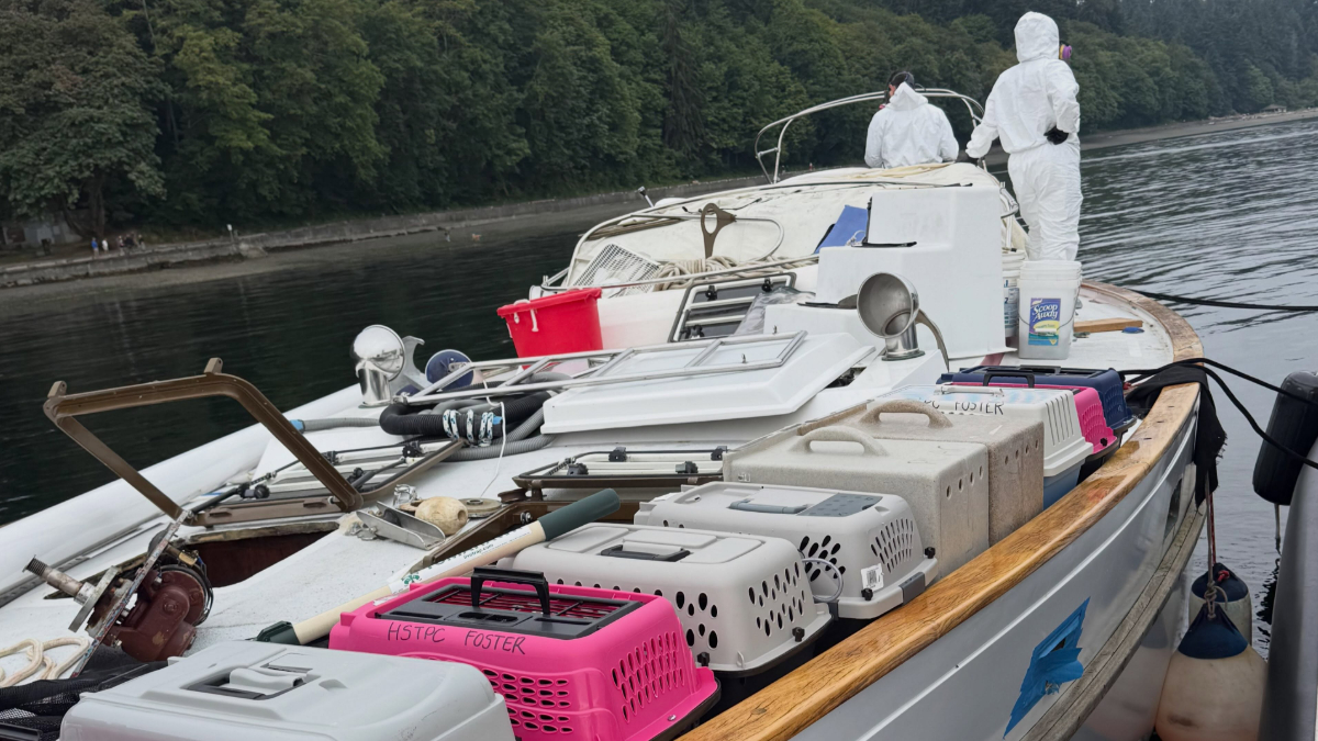 Work boat deck crowded with pet carriers, crates, and equipment; two people in white hazmat suits stand at the stern by the water