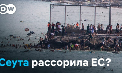 Crowded rocky shoreline with many swimmers near a fenced seawall; DW logo in top-left corner.