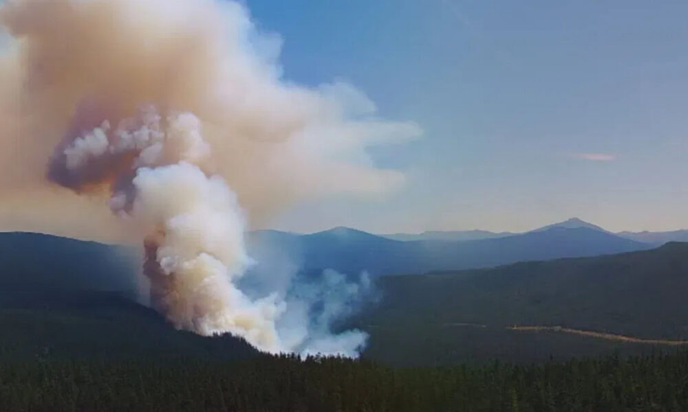 Large column of smoke rises from a forested valley with mountains in the distance under a blue sky.
