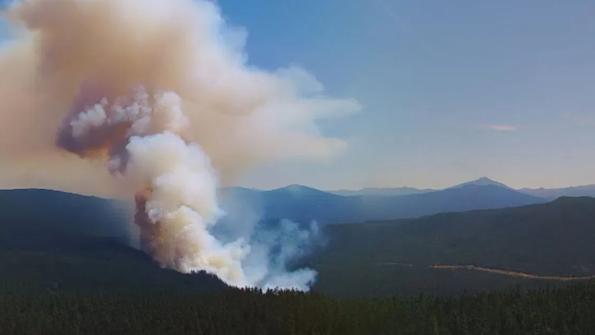 Large column of smoke rises from a forested valley with mountains in the distance under a blue sky.