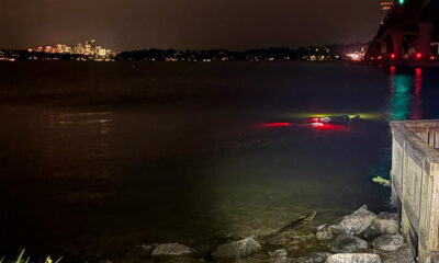 Nighttime waterfront: a swimmer in dark water near rocks and a wooden railing, city lights across the bay and a bridge to the right.