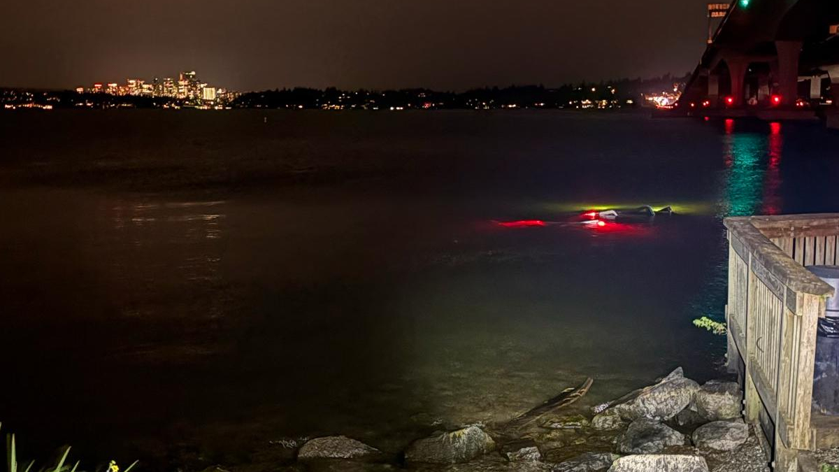 Nighttime waterfront: a swimmer in dark water near rocks and a wooden railing, city lights across the bay and a bridge to the right.