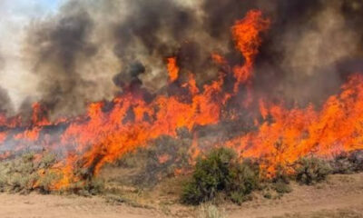 Wildfire burning through dry brush with thick black smoke rising in the sky.