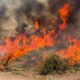 Wildfire burning through dry brush with thick black smoke rising in the sky.