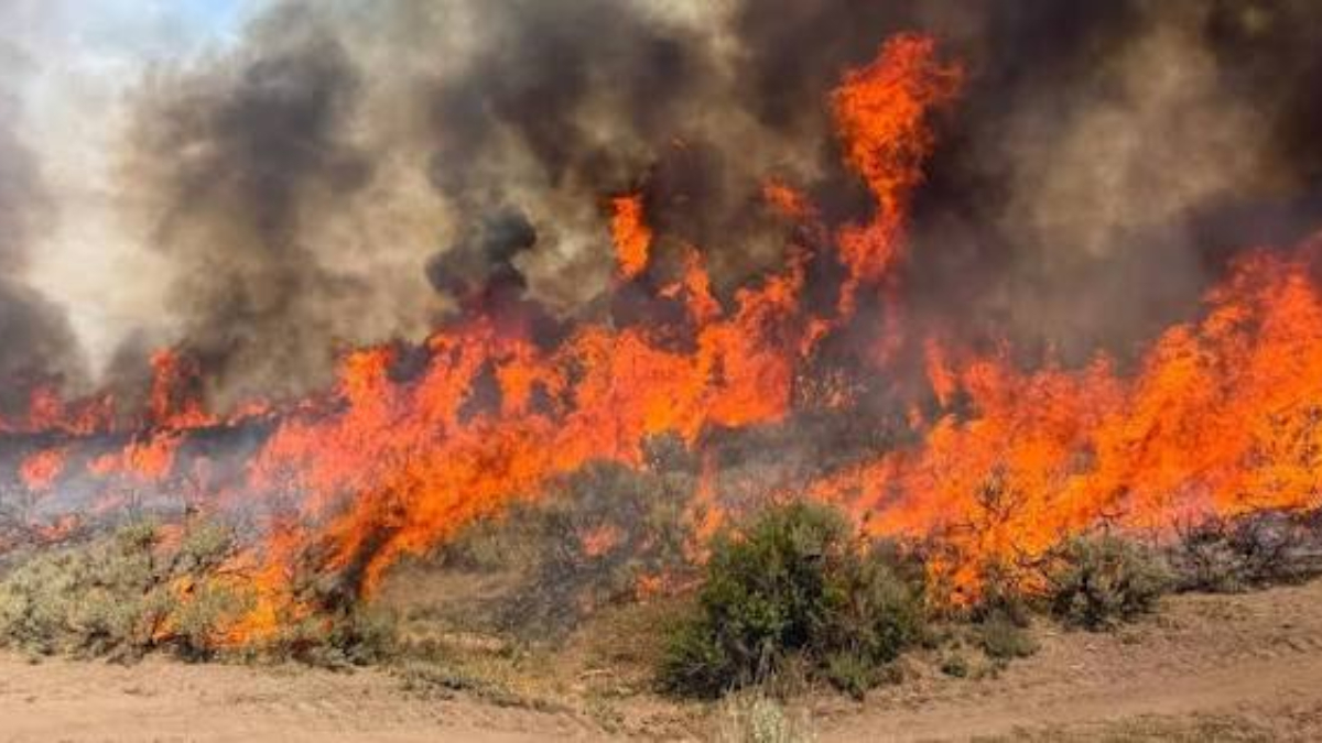 Wildfire burning through dry brush with thick black smoke rising in the sky.