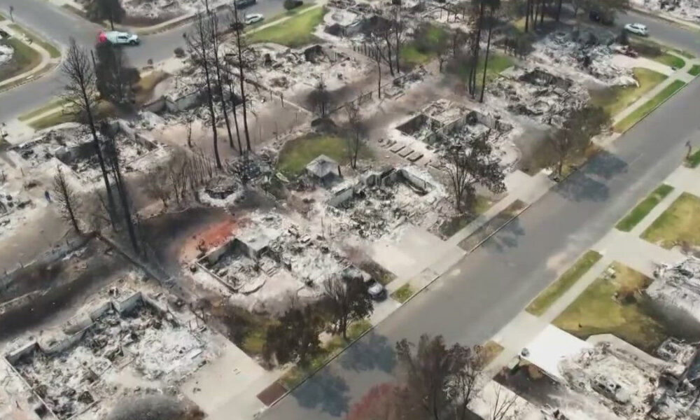 Aerial view of a suburban neighborhood scorched by wildfire; charred trees, ashes, and burned-out houses along the street.