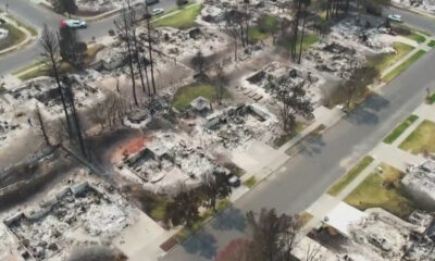 Aerial view of a suburban neighborhood scorched by wildfire; charred trees, ashes, and burned-out houses along the street.