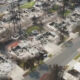 Aerial view of a suburban neighborhood scorched by wildfire; charred trees, ashes, and burned-out houses along the street.