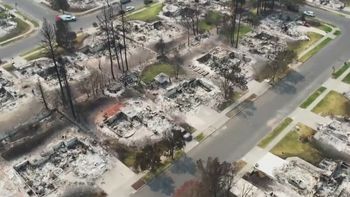 Aerial view of a suburban neighborhood scorched by wildfire; charred trees, ashes, and burned-out houses along the street.