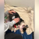 Small black-and-white dog lying on a beige blanket while a person pets its back.