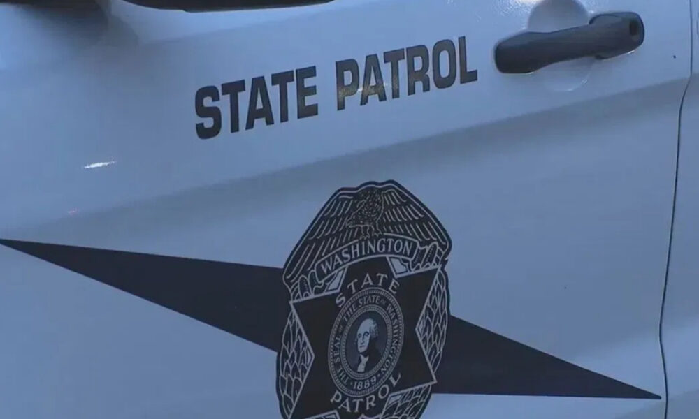White state patrol vehicle door with a black diagonal stripe, the State Patrol badge centered on the door, and the words STATE PATROL above the badge.