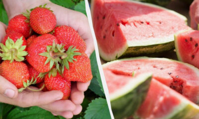 Hands cupping ripe strawberries on the left, with watermelon slices on the right split by a diagonal divider.