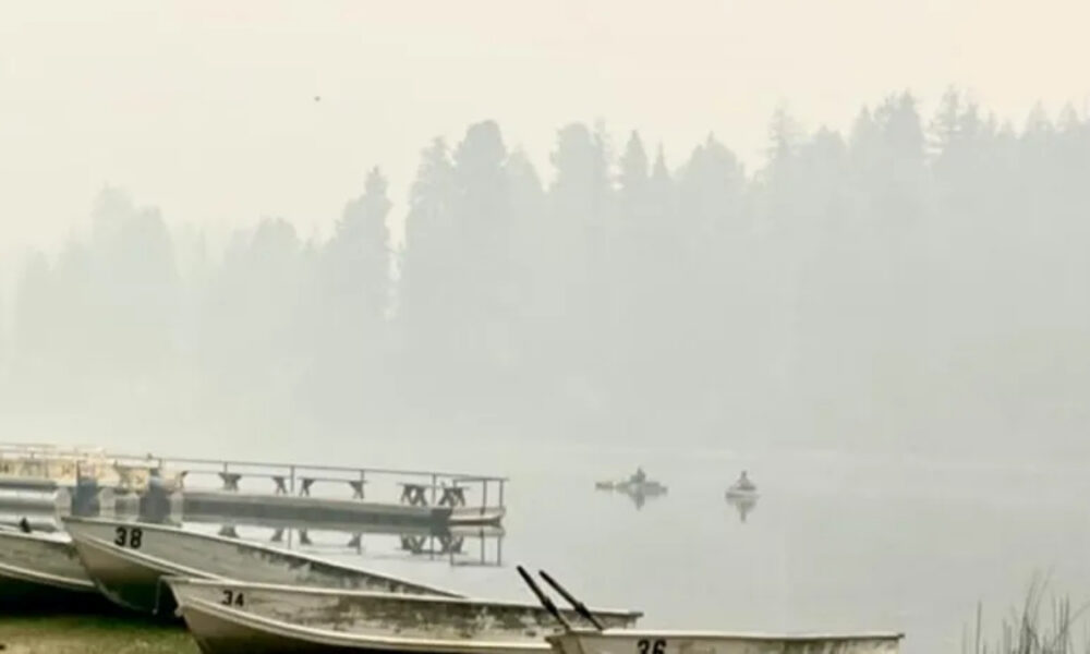 Misty lakeside scene with several rowboats tied to a dock and a forested shore in the background