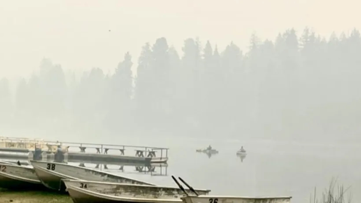Misty lakeside scene with several rowboats tied to a dock and a forested shore in the background