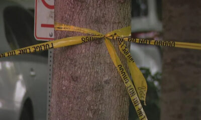 Tree bound with yellow caution tape forming a knot, signaling a restricted area outdoors