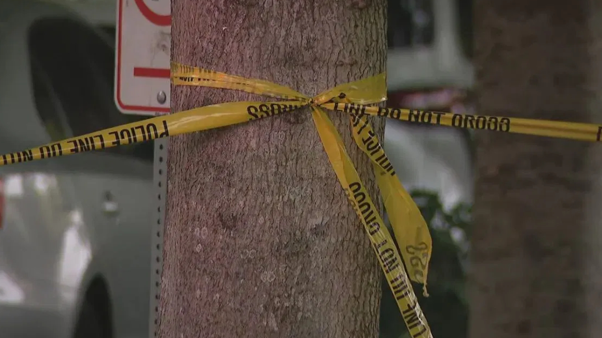 Tree bound with yellow caution tape forming a knot, signaling a restricted area outdoors
