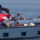 A small dog figurine stands on a red bucket on a boat, with ropes and metal equipment scattered around and calm water in the background nearby.