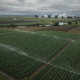 Фермерские поля Skagit Valley и возможная площадка крупного дата-центра