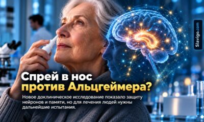 Назальный спрей с клеточными везикулами защитил память при Альцгеймере — пока у мышей