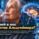 Назальный спрей с клеточными везикулами защитил память при Альцгеймере — пока у мышей