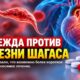 30-дневная схема лечения болезни Шагаса оказалась не хуже стандартных 60 дней в испытании