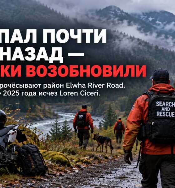 В Clallam County начали масштабный поиск Loren Ciceri вдоль Elwha River Road