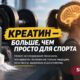 Креатин связали с ростом мышечной массы и силы у людей 45–65 лет в небольшом испытании