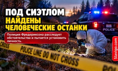 В лесу Frederickson нашли человеческие останки: Pierce County начал расследование