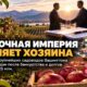 Покупка Gebbers Farms за $231,5 млн приблизилась к завершению после одобрения плана банкротства