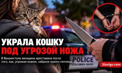 В Grant County женщину задержали после предполагаемого похищения кота с ножом