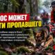 King County Search Dogs показала, как волонтёрские K9-команды ищут пропавших людей