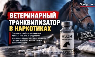 Медетомидин в нелегальном фентаниле связали с тяжелой седацией и необычной абстиненцией