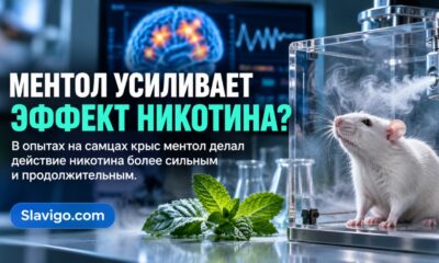Ментол усилил и продлил действие никотина у крыс