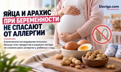 Больше яиц и арахиса при беременности не снизило риск аллергии у детей в крупном испытании