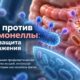 Инженерные бактериофаги защитили мышей от Salmonella до заражения — до применения у людей ещё далеко