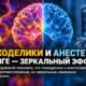 Психоделики и анестезия меняют связи мозга в противоположных направлениях